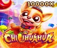 CHILIHUAHUA CHILIHUAHUA