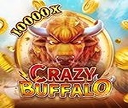 CRAZY BUFFALO CRAZY BUFFALO